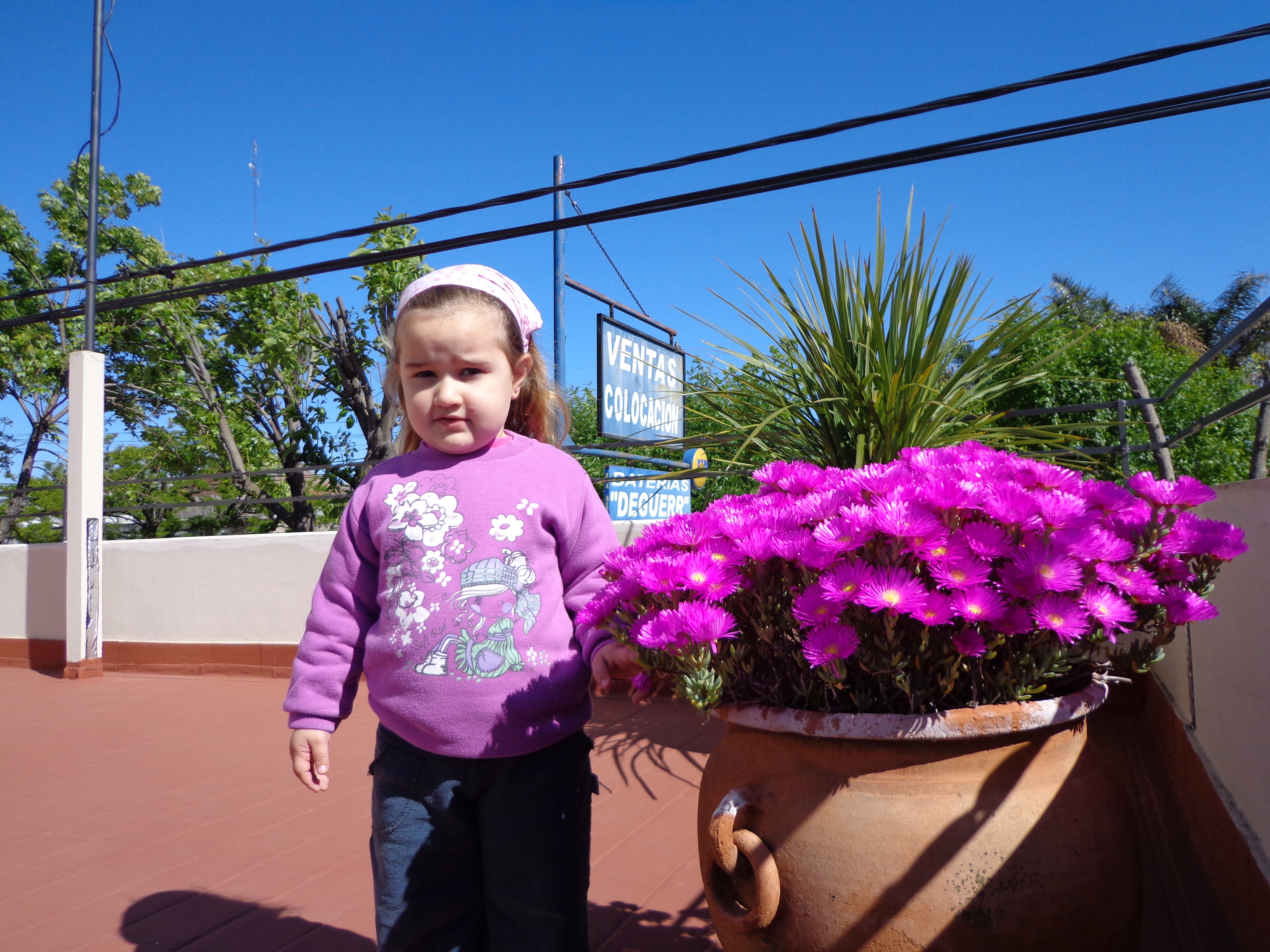 fotos/2012-12-25 - Iara con el tio y las flores/DSC00068.JPG